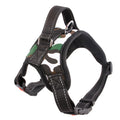 Medium and Large Dog Collar for Pet Supplies