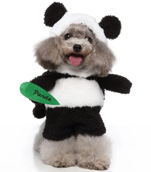 Pet Products Clothing