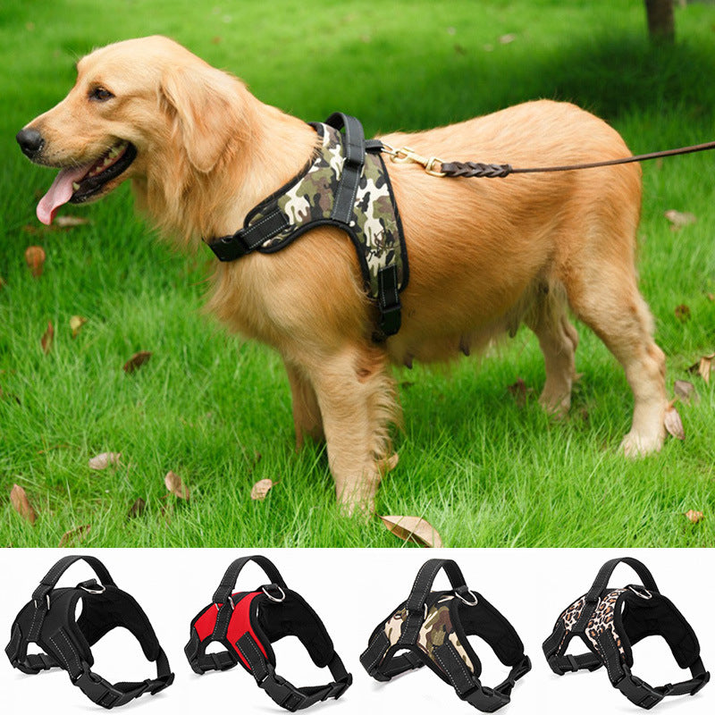 Medium and Large Dog Collar for Pet Supplies